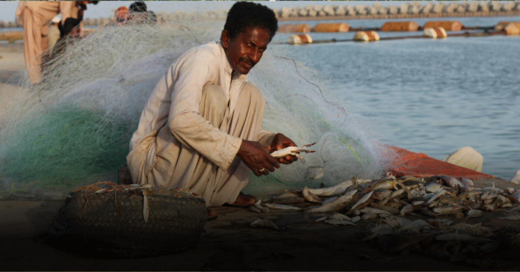 Balochistan Fisheries Officer Jobs 2025 Apply Online Latest Vacancies