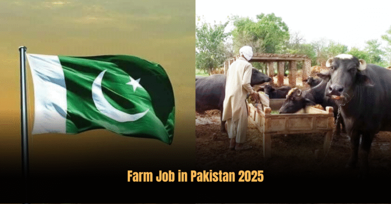 Farm Job in Pakistan 2025