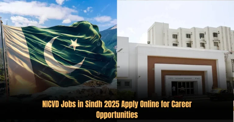 NICVD Jobs in Sindh 2025 Apply Online for Career Opportunities